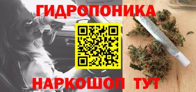 сатива Волжский