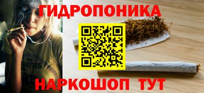 сатива Волжский