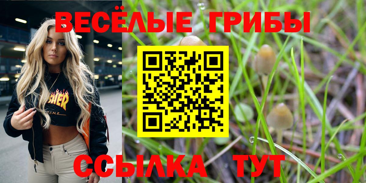 Псилоцибиновые грибы GOLDEN TEACHER  Вход с VPN  Вышний Волочёк 
