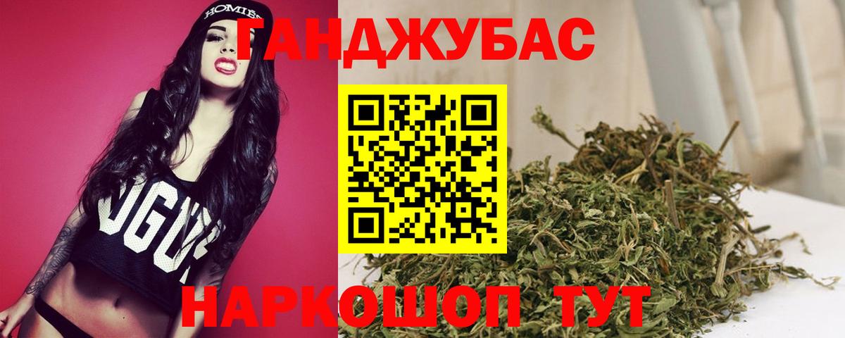Бошки Шишки семена  Бошки Шишки тримм  Конопля гибрид  Вышний Волочёк  Вход с VPN 