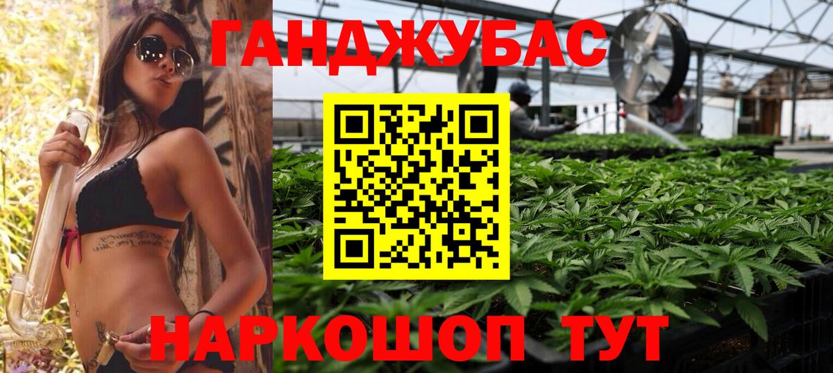 Конопля планчик Вышний Волочёк